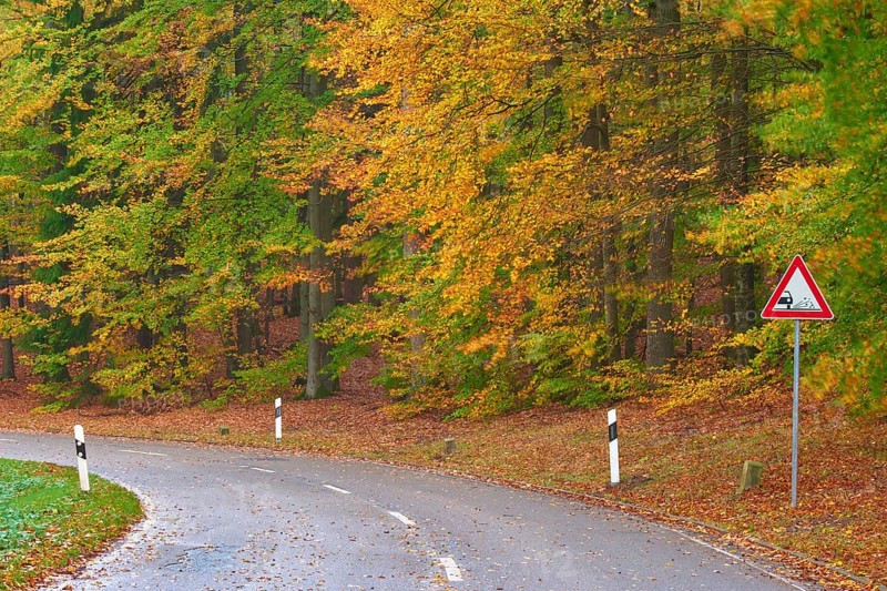 Winding road through an autumnal forest with colourful leaves and a roadside sign, Spessart, Bavaria, Germany, Europe