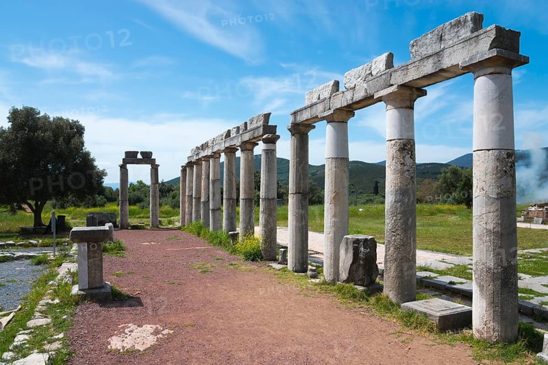 Ruins of ancient tall columns stretching along a path under a clear blue sky, Messene, ancient Greek polis, Messini, Messinia, Peloponnese, Greece, Europe