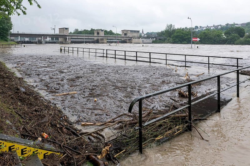 Symbolic image extreme weather, global warming, climate change, flood, washed up wood, footbridge, barrage on the Neckar river, Aldingen, Baden-Württemberg, Germany, Europe
