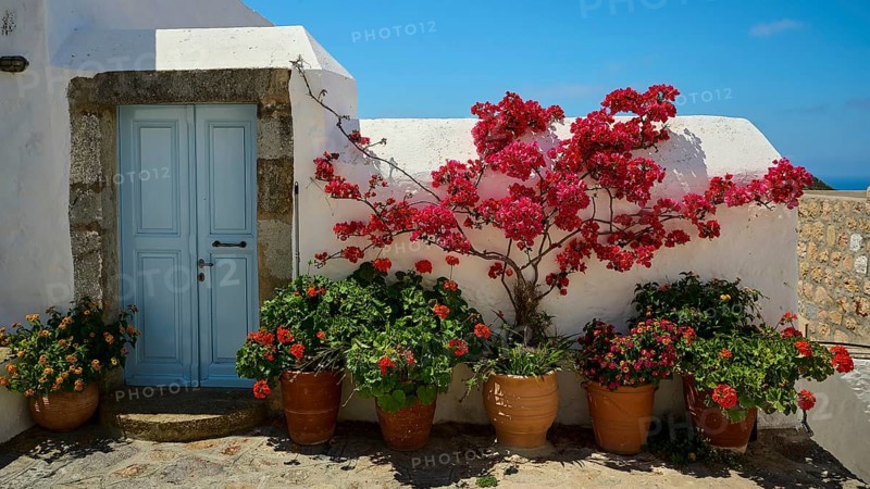 Flower pots with colourful flowers on a white wall next to a light blue wooden door, Chora, main town of Patmos, Patmos, Old Town, Dodecanese, Greek Islands, Greece, Europe