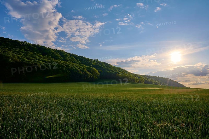 Grain field in spring with clouds at sunset, Mühlberg, Drei Gleichen, Thuringia, Germany, Europe