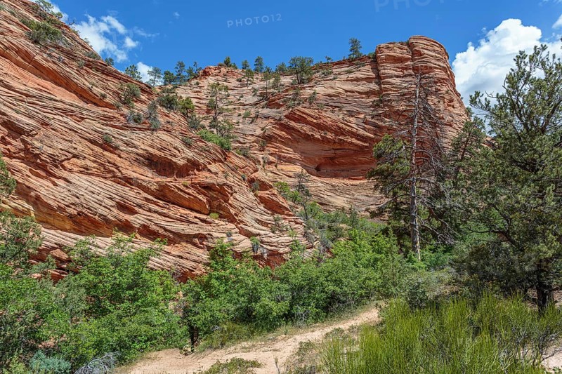 Patterns of erosion on the rocky mountainside in Zion National Park, Utah