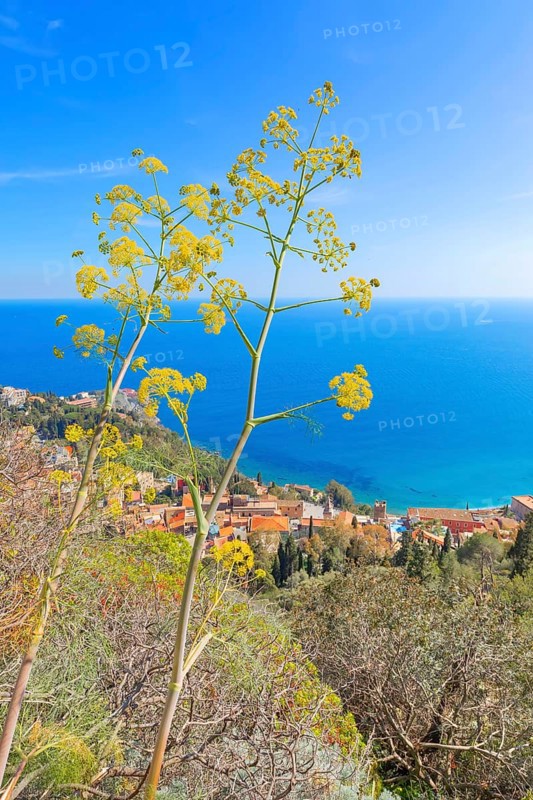 Taormina town, high angle view, Taormina, Sicily, Italy, Europe