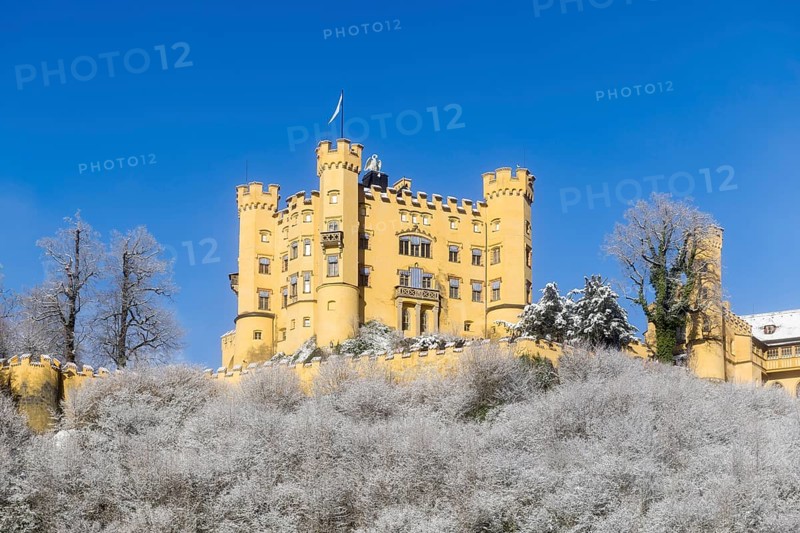 Fairytale yellow castle in winter with snow-covered trees under a blue sky, Hohenschwangau Castle, Schwangau, Königswinkel, Ostallgäu, Allgäu, Swabia, Bavaria, Germany, Europe
