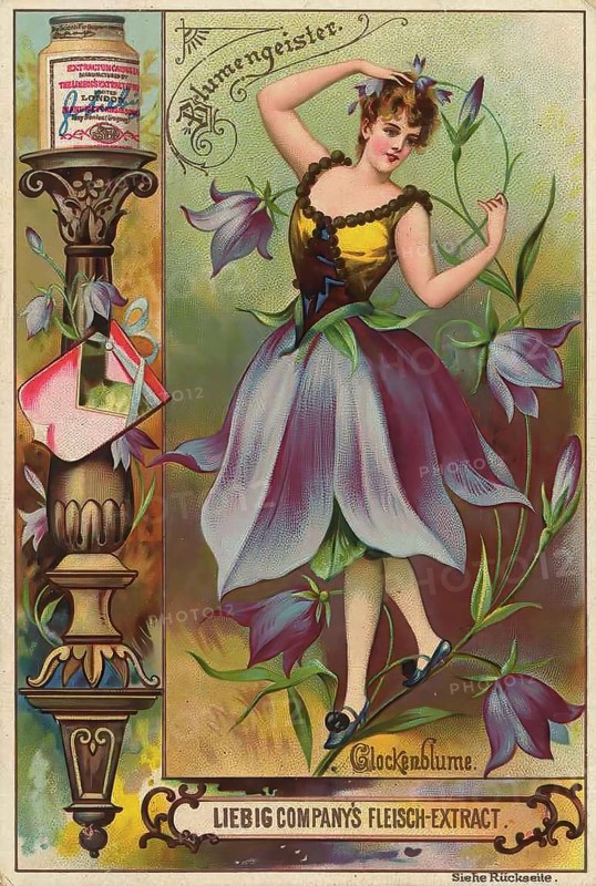 Picture series Flower spirits, woman with bellflower, Liebig picture, digitally restored reproduction of a collective picture from ca 1900, public domain, exact date unknown, A woman dances in a flower costume, surrounded by bellflowers