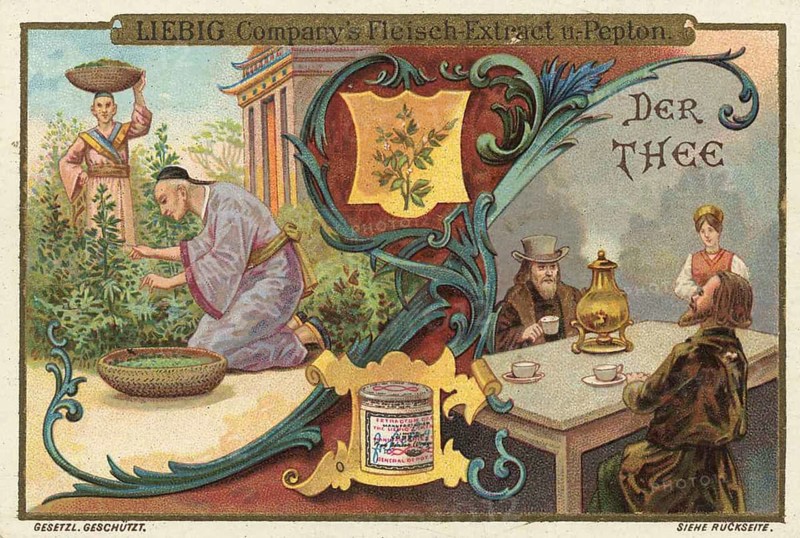 Picture series Drinks of the World, The Tea, Liebig picture, digitally restored reproduction of a collector's picture from around 1900, public domain, exact date unknown, scene with people making and drinking tea, surrounded by tea plants