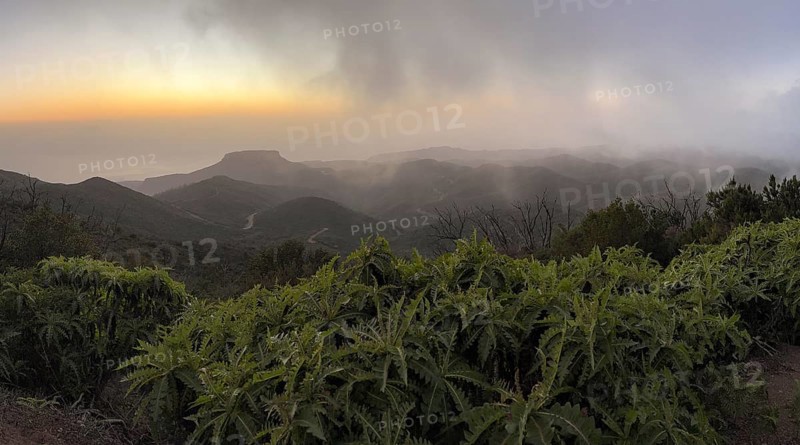 Sunset, view from the mountain Alto de Garajonay, Garajonay National Park, La Gomera, Canary Island, Spain, Europe