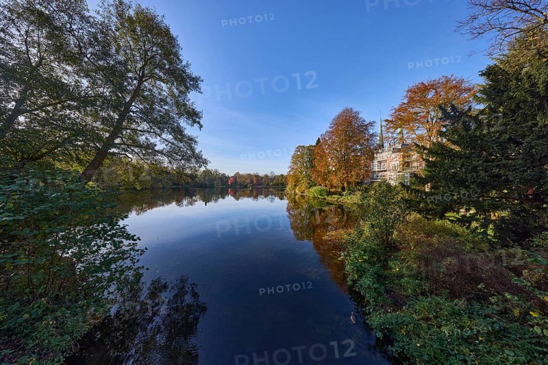 Mill pond with trees against blue sky, reflections on the water surface, Hanseatic city of Lübeck, Schleswig-Holstein, Germany, Europe