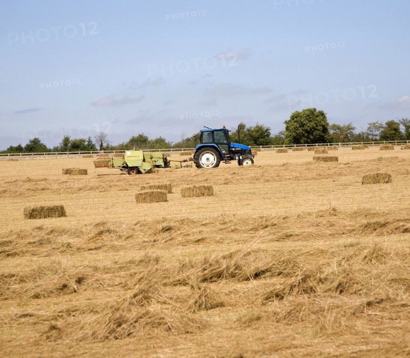Tractor harvesting hay in field, Hollesley, Sufolk, England, United Kingdom, Europe