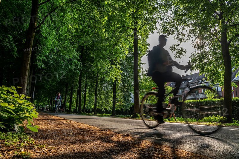 Promenade cycle path, tree-lined, car-free, approximately 4.5 km long ring road around the city centre of Münster, North Rhine-Westphalia, Germany, Europe