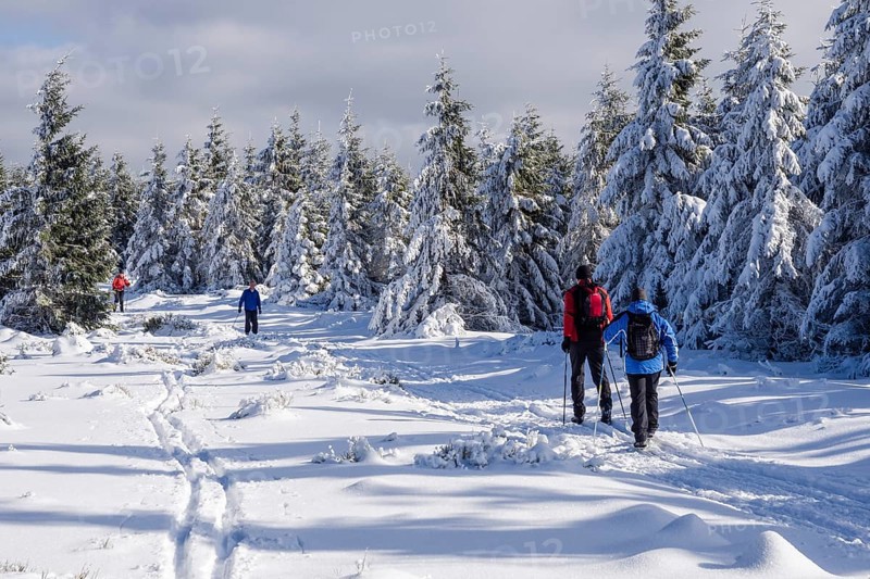 Winter landscape, loipe, cross country skiing area, near Hanskühnenburg, Harz mountain range, Lower Saxony, Germany, Europe