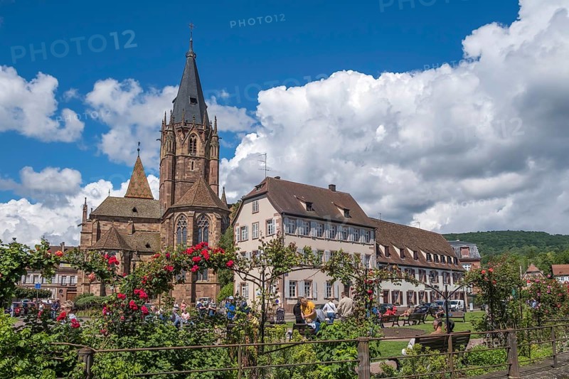 Collegiate Church of St Peter and Paul, Abbatiale Saints Pierre et Paul, Wissembourg, Northern Vosges nature park Park, Vosges, Alsace, France, Europe