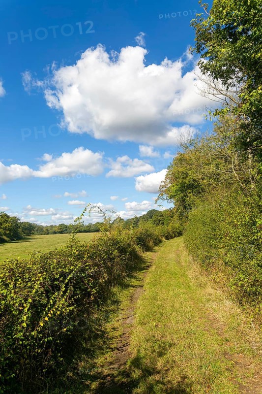 Country footpath through fields and hedgerows, Honeypot Lane, Peakhill Farm, Theberton, Suffolk, England, UK
