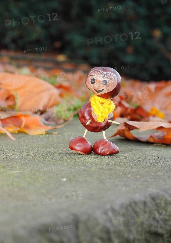 Funny chestnut figure with yellow scarf on a wall in autumn leaves, North Rhine-Westphalia, Germany, Europe