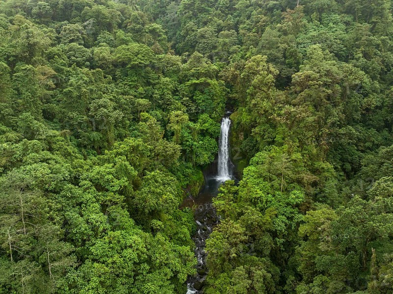 Aerial view, waterfall in the rainforest, Catarata de la Paz, La Paz Waterfall Gardens Nature Park, Alajuela Province, Costa Rica, Central America