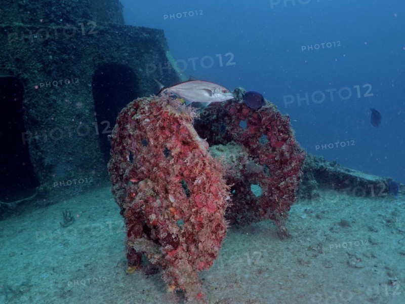 An abandoned underwater wreck covered in marine life with a fish swimming by. Winch on the wreck of the USS Spiegel Grove, dive site John Pennekamp Coral Reef State Park, Key Largo, Florida Keys, Florida, USA, North America