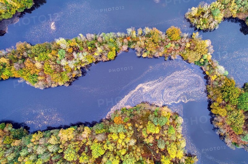 Mixed forest in autumn, colouring, aerial view, forest, autumnal, Ahlhorn fish ponds, Niedersächsische Landesforst, Ahlhorn, Lower Saxony, Germany, Europe