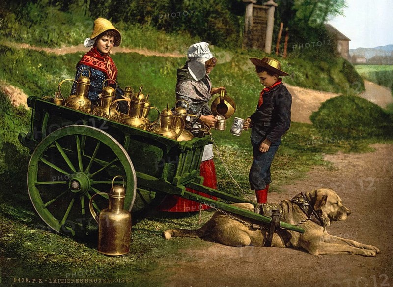 Milk seller with a cart pulled by dogs, bar, Brussels, Belgium, ca 1895, Historic, digitally restored reproduction from a 19th century original, Record date not stated, Europe
