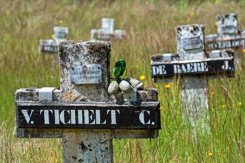 Cemetery with graves of vagabonds and homeless who lived and worked at the Colony of Wortel near Hoogstraten, province of Antwerp, Flanders, Belgium, AI generated, Europe