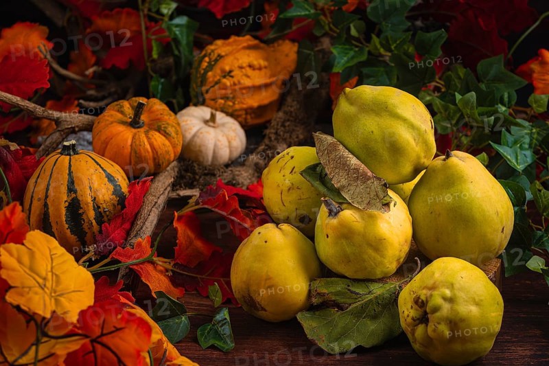 Autumnal still life with quinces, pumpkins and colourful autumn leaves