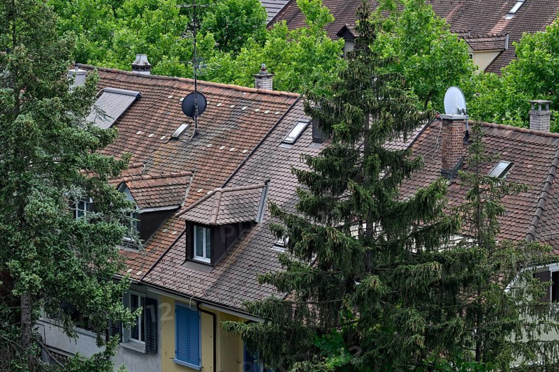 Symbol photo Apartment blocks Old flats Roofs