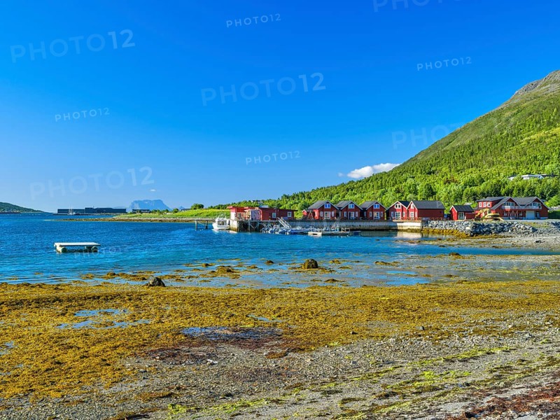 Rorbuer at the Lyngenfjord, Lyngenalps, mountains with snow, blue sky, European North Sea, Troms og Finnmark, Northern Norway, Norway, Europe