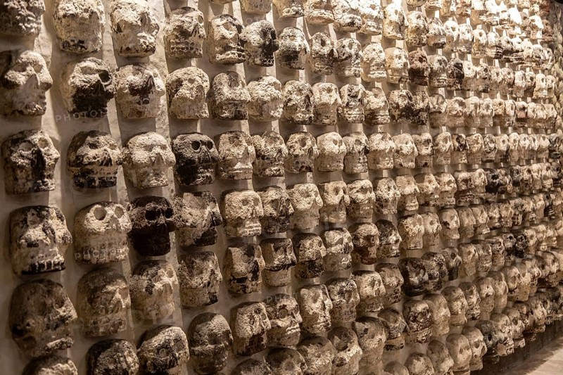Wall of stone human skulls, archaeological site and museum of Templo Mayor, Mexico City, Mexico, Central America