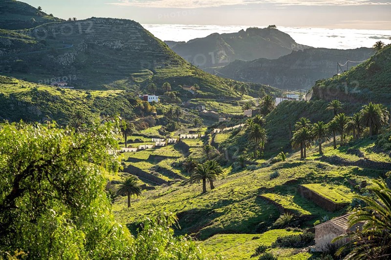 Landscape in the valley of Arure, La Gomera, Canary Islands, Spain, Europe