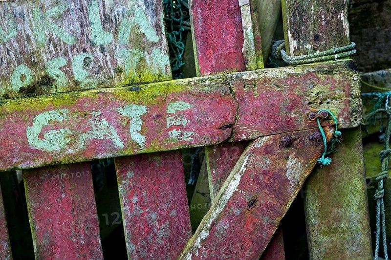 Old green and red garden gate with inscription Gate, Mykines, Útoyggjar, Faroe Islands, Denmark, Europe