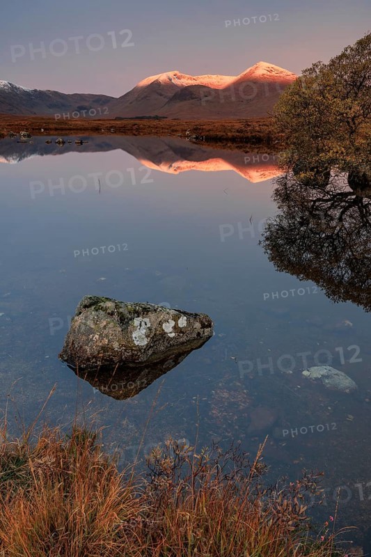 Mountains reflected in lake, morning light, morning mood, still, autumn, snowy, Lochan na h-Achlaise, Scottish Highlands, Scotland, Great Britain