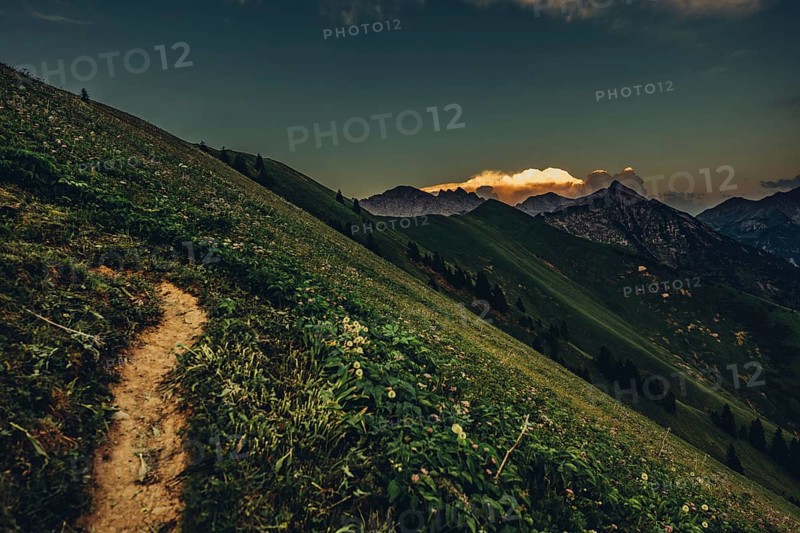 Hiking tour on the Hönig mountain in the Lechtal valley near Berwang in Tyrol, Austria, Europe