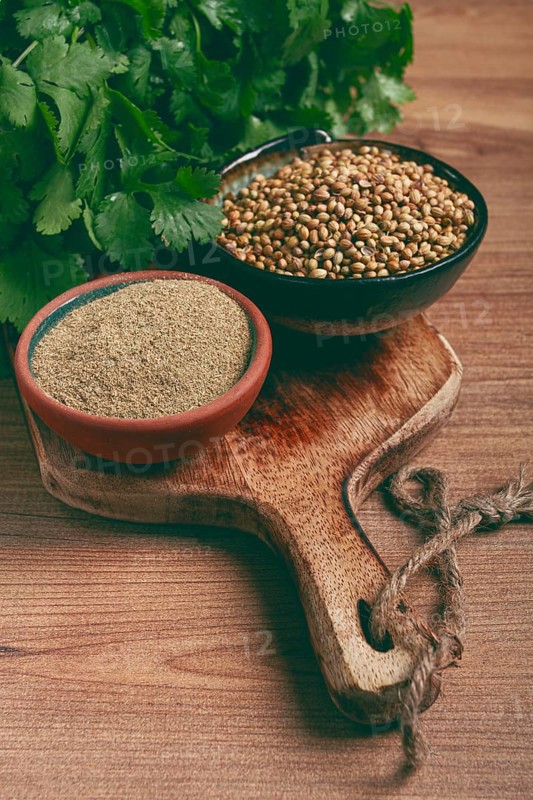 A bunch of fresh cilantro, coriander seeds and powder bowls, close-up, top view, no people, food and drinks