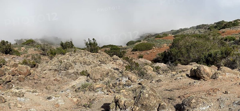 Clouds of fog, yellow earth, erosion, near Arguamul, La Gomera, Canary Islands, Spain, Europe
