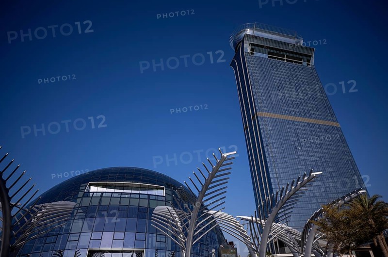 Artificial palm trees made of steel, Hotel St. Regis The Palm with viewing platform The View At The Palm, Palm Jumeirah, Dubai, United Arab Emirates, VAR, Asia