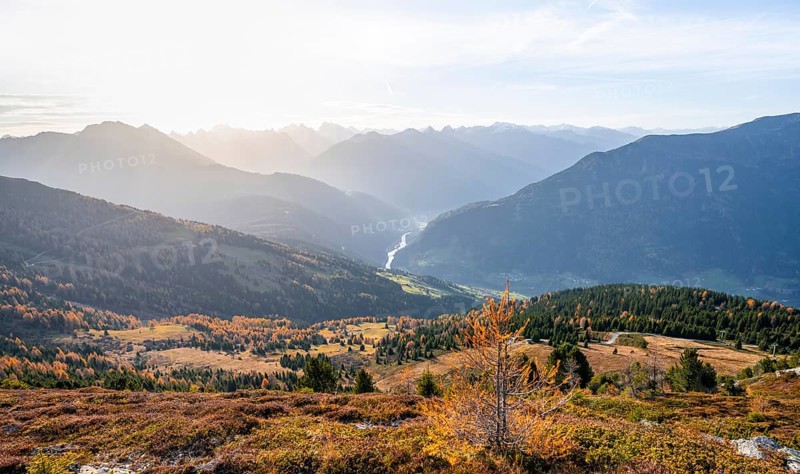 View of the mountain panorama and the Upper Inn Valley in the morning light, Krahberg on the Venet in autumn with yellow larches, Ötztal Alps, Tyrol, Austria, Europe