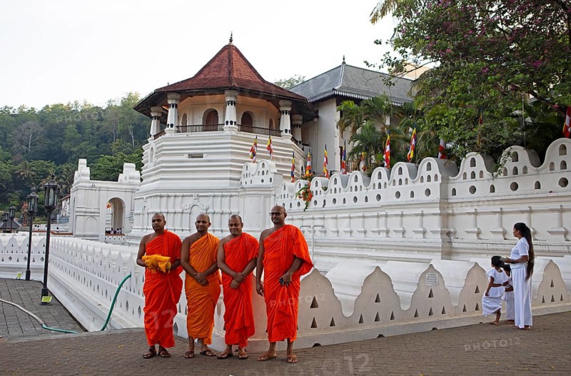 Buddhist monks at the Temple of the Tooth or Sri Dalada Maligawa, Kandy, Central Province, Sri Lanka, Asia