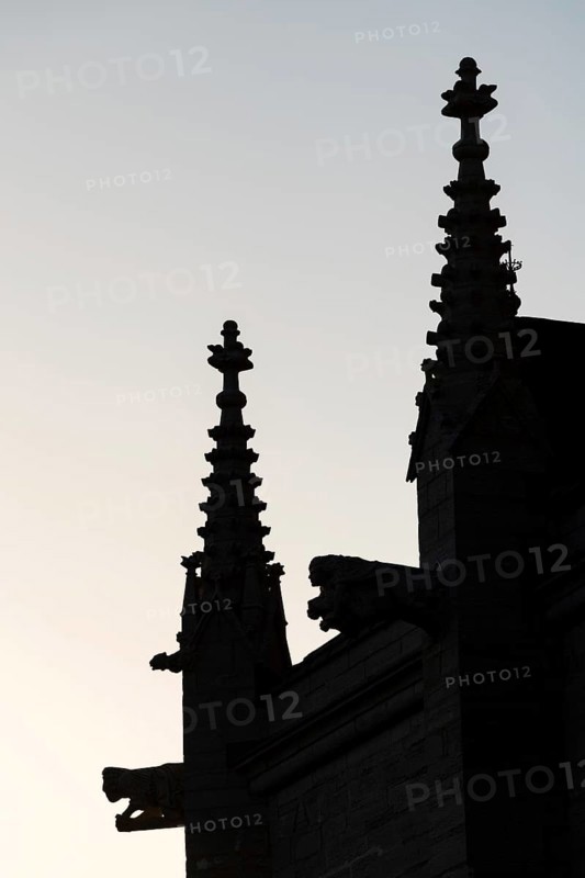 Mythological figures as gargoyles, silhouette, medieval cathedral, Visby Cathedral, St Mary's Church, former Hanseatic city of Visby, UNESCO World Heritage Site, Gotland Island, Sweden, Europe