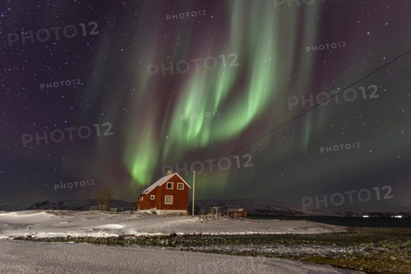 Green and violet northern lights over a red house on the coast, aurora borealis, winter, snow, Repparfjord, Finnmark, Norway, Europe