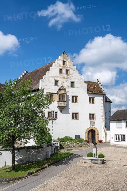 Flower field Castle in Hegau, Tengen, district of Constance, Baden-Württemberg, Germany, Europe