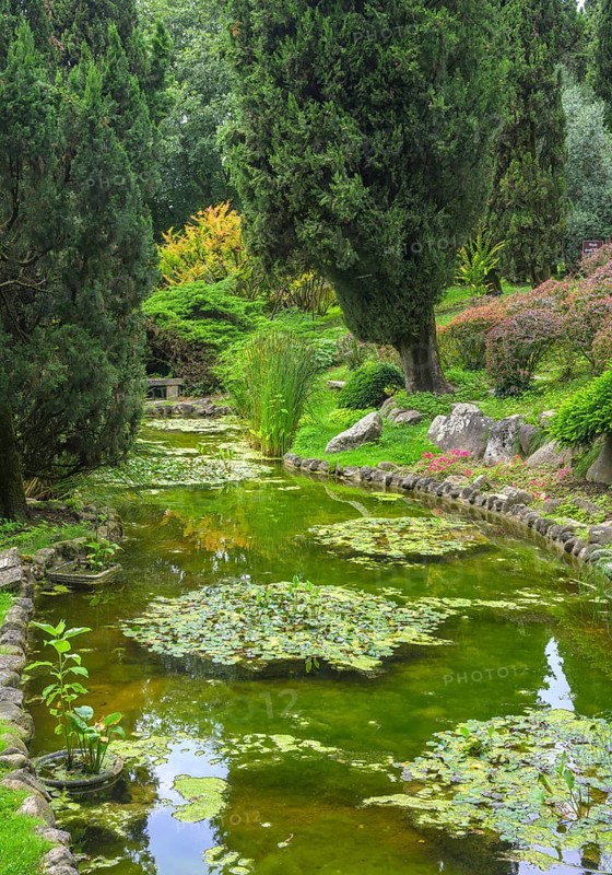 Pond in Parco Giardino Sigurtà, Valeggio sul Mincio, Province of Verona, Italy, Europe
