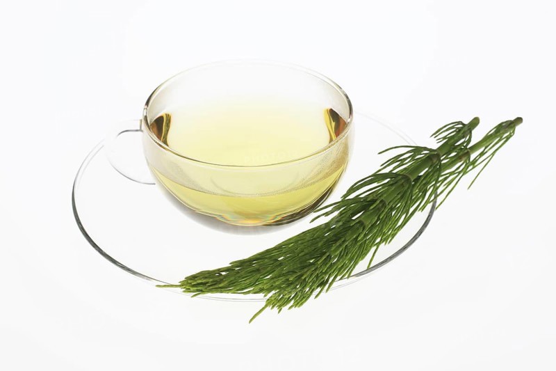 Horsetail tea, tea, medicinal tea, herbal tea, medicinal plant, Equisetum arvense, the field horsetail or horsetail herb