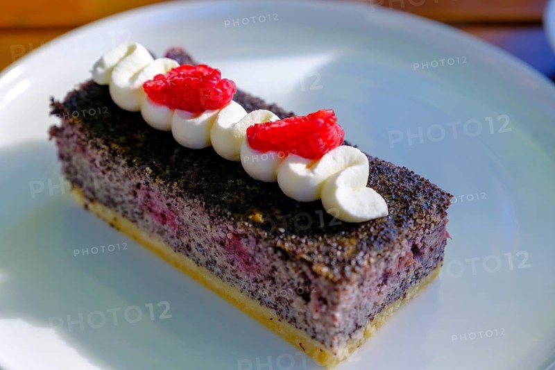 Poppy seed cake, coffee and cake, cake, food, Café Liebelei, Bairawies, Tölzer Land, Upper Bavaria, Bavaria, Germany, Europe