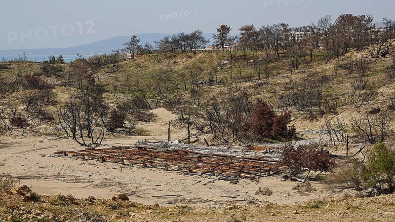 Burnt landscape with debris and bare trees, dry and brown, forest fires, summer 2023, forest fire damage, Lardos Beach, Rhodes, Dodecanese, Greek Islands, Greece, Europe