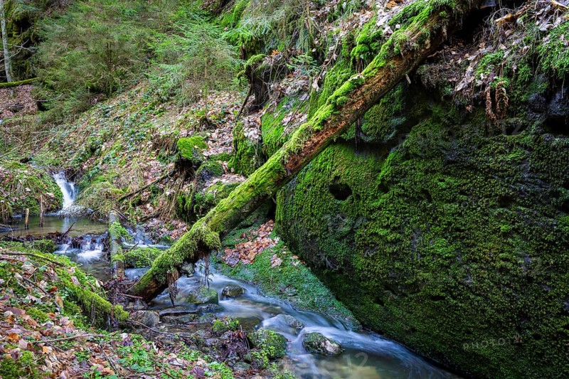 Polenztal in Saxon Switzerland, Hohnstein, Saxony, Germany, Europe