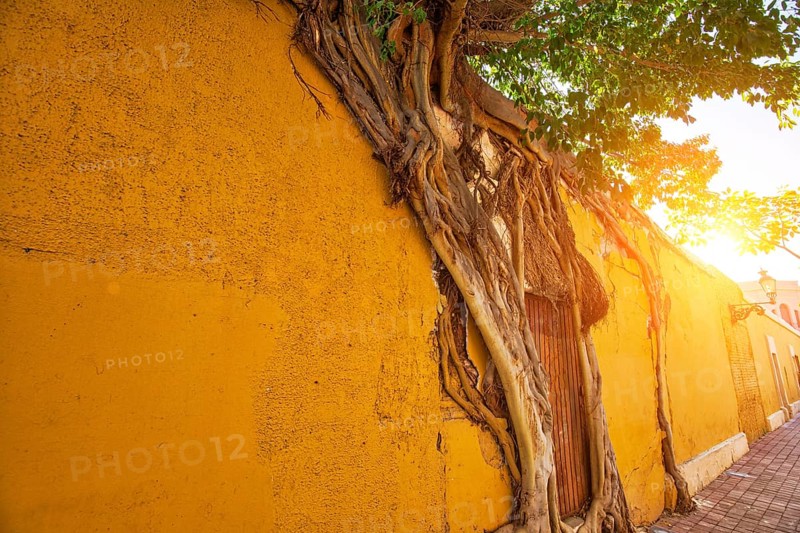 Mexico, Mazatlan, Colorful old city streets in historic city center, Central America