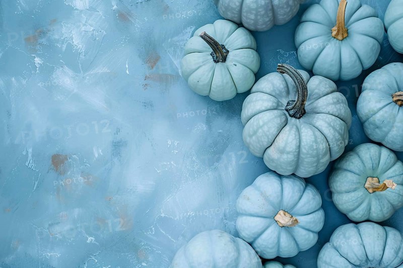 Pastel blue decorative pumpkins on side of blue background with copy sapce. Generative Ai, AI generated
