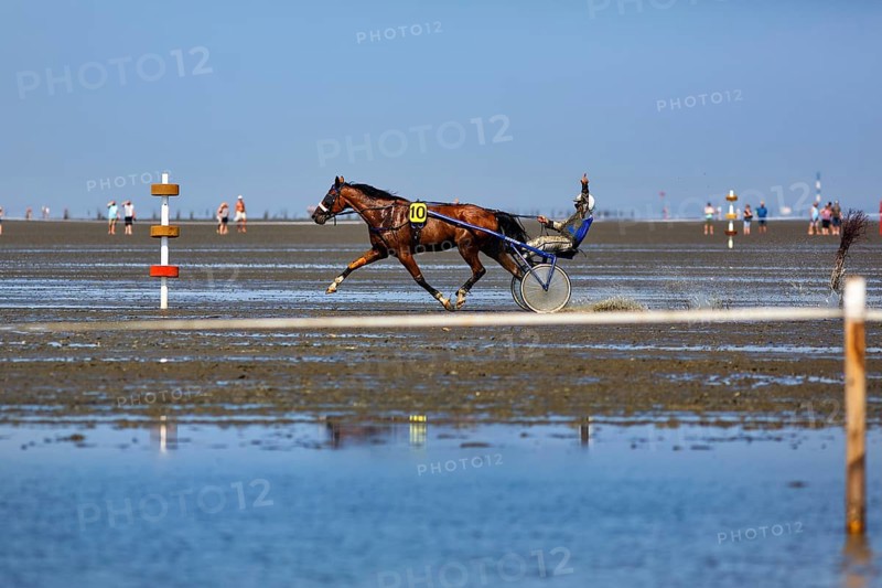 Horse with sulky, trotter, horse-drawn carriage, trotting race in the mudflats, winning pose, Duhner Wattrennen 2019, Duhnen, Cuxhaven, UNESCO World Heritage Wadden Sea, North Sea, Lower Saxony, Germany, Europe
