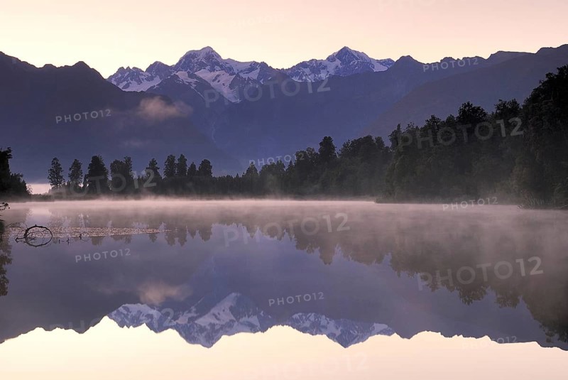 Trees reflected in Lake Matheson, Westland National Park, South West New Zealand World Heritage Site, West Coast, South Island New Zealand Lake Matheson, South Island, New Zealand, Oceania