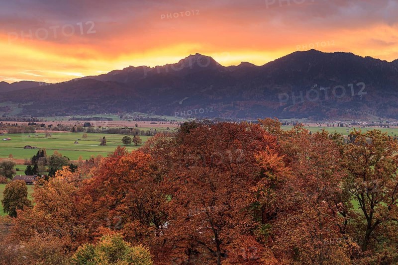 Dawn over mountains and autumn coloured trees, Loisach-Lake Kochel-Moor, behind Benediktenwand, Bavaria, Germany, Europe