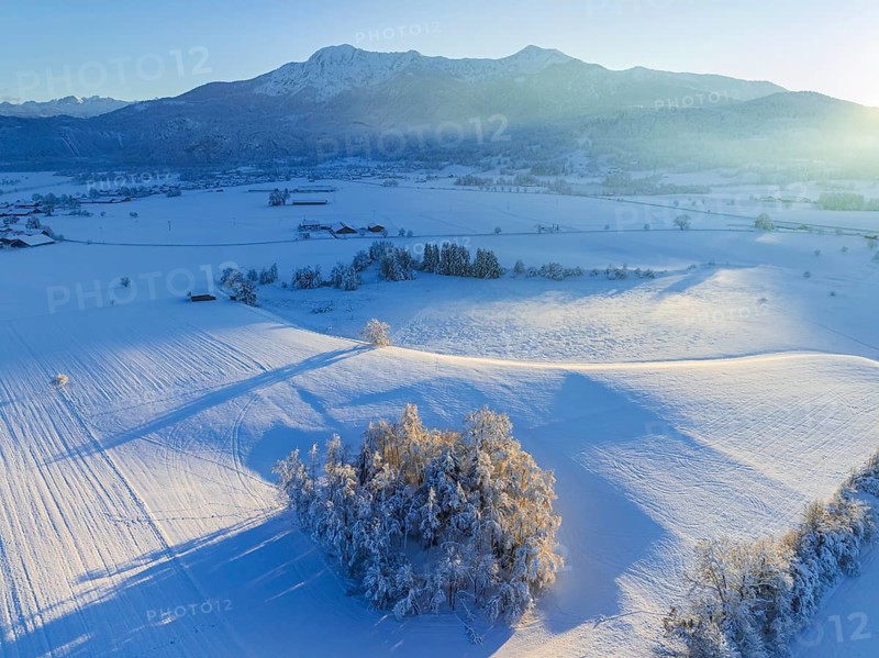 Aerial view of snow-covered trees in front of mountains, winter, evening light, view of Herzogstand and Heimgarten, Alpine foothills, Upper Bavaria, Bavaria, Germany, Europe